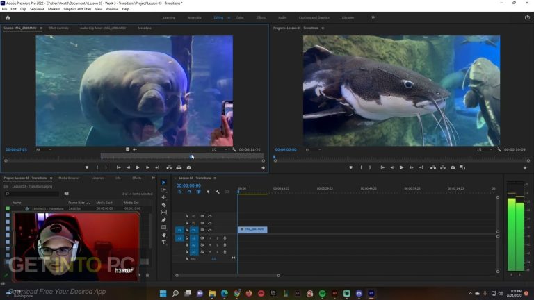 Adobe Animate User interface 